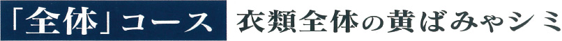 「全体」コース 衣類全体の黄ばみやシミ